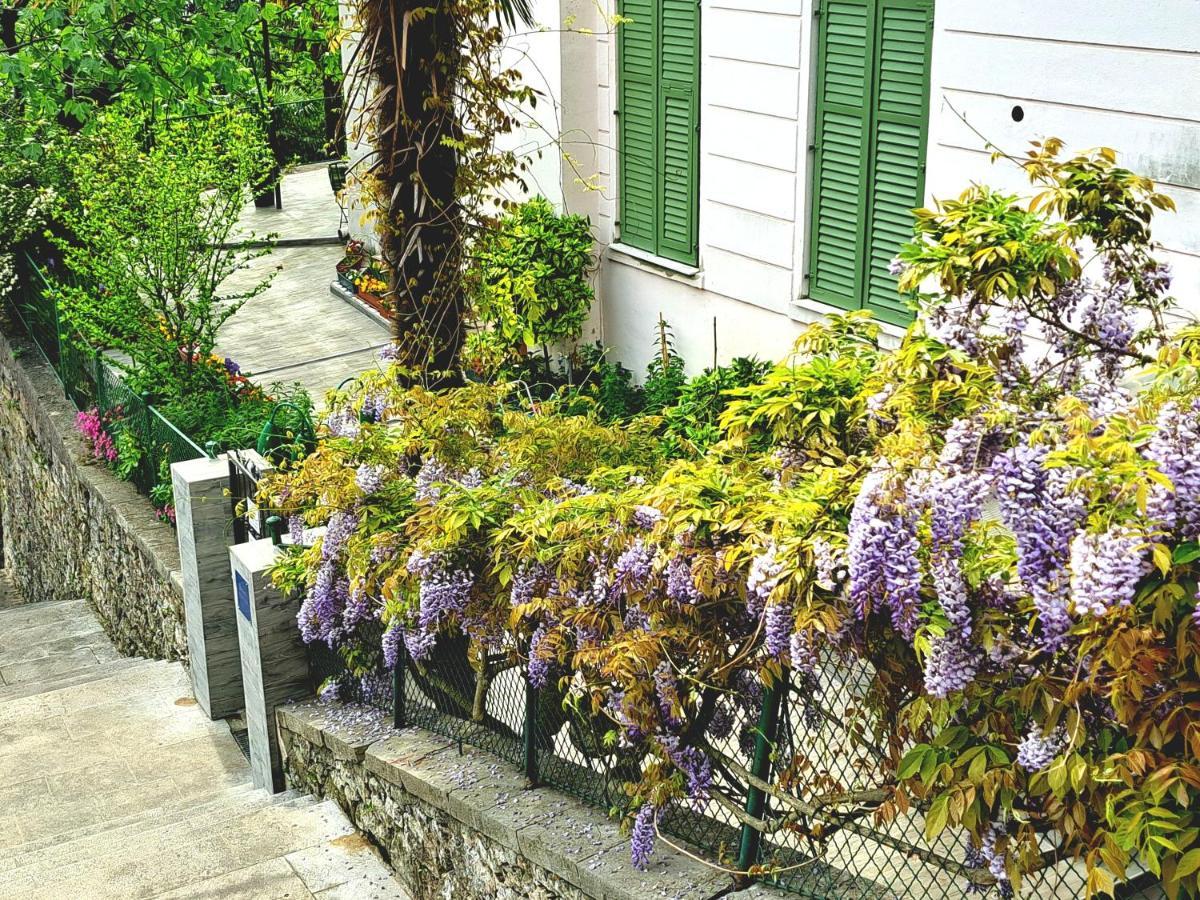 Soba U Opatiji Na Lipovici 2* Opatija